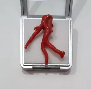 Italian Red Coral Branch Gemstone 100% Natural Coral Branch Polished Rough Coral - Picture 1 of 12