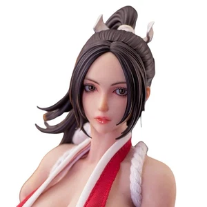 HiPlay 1/6 Ninja Cat Mai N001 - Modellino personaggio gioco combattente femminile NUOVO - Foto 1 di 6
