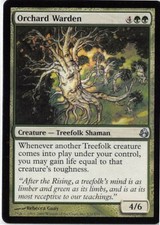 Orchard Warden *PLAYSET* Magic MtG x4 Morningtide SP