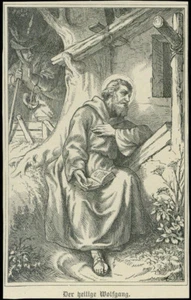 santino litografia 1800 S.VOLFANGO - Imagen 1 de 1