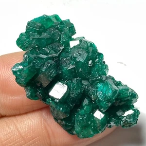 9,4 g Top Natural Dioptasa Emerandina Gema Racimo Mineral Espécimen Congo p02 - Imagen 1 de 9