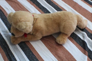 Peluche Dog by Anna Club - Imagen 1 de 9
