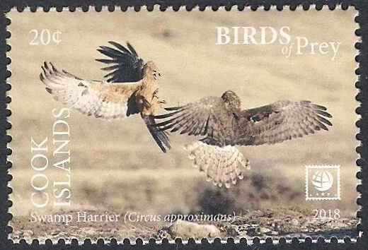 Cook Islands 2018 - Bird of Prey - Swamp Harrier - Image 1 of 1