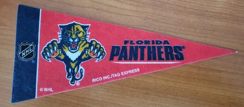 Florida Panthers Mini Pennants, 4" x 9" - Licensed by Rico - Made In USA Cover