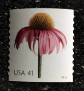USA2007 #4166-4175 (4170) 41c Beautiful Blooms Flowers Coil - PNC Single Mint - Picture 1 of 1