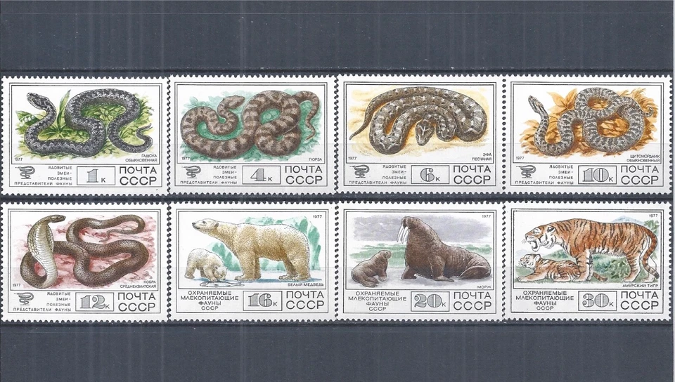 Soviet Union USSR 1977 Minr : 4678 - 4685 Fauna Snake Tiger Bear - Image 1 of 1