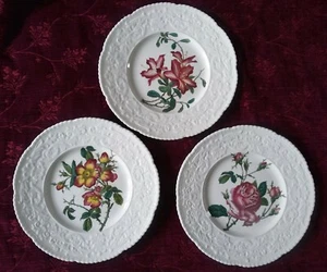 Royal Cauldon HAYWOOD Floral Dinner Plates -Set/3- Briar & English Rose, Azalea  - Picture 1 of 7