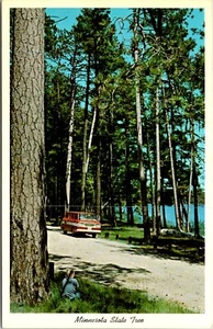Postal Noruega Pino Rojo Años 60 Van Minnesota E60 - Imagen 1 de 2