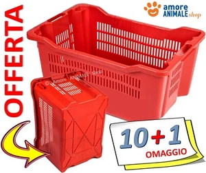 10 → CASSETTE AGRICOLE TRAFORATE Fondo CHIUSO 40 Lt - Per RACCOLTA OLIVE FRUTTA - Foto 1 di 2