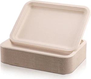 50 Pack 14 Inch Biodegradable Paper Plates, Rectangle Compostable Disposable Foo - Picture 1 of 6