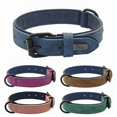 Collier pour Petit Grand Chien en Cuir Véritable Rembourré Rose Bleu Brun Violet - Image 1 of 4