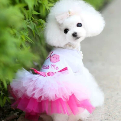 Cute Pet Clothes Summer Small Dog Cat Dress Cute Princess Chihuahua Puppy Skirt⇓ - Image 1 of 4