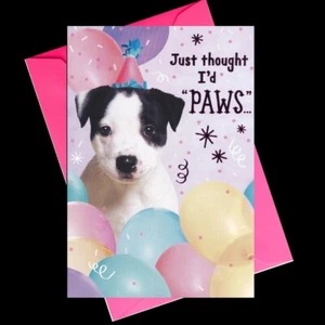 Biglietto Compleanno Thought I'd Paws Bull Terrier con Busta Punzone Espressioni - Foto 1 di 3