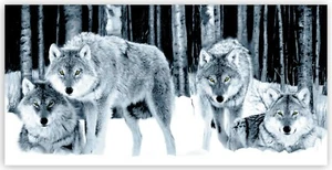 Wolf Pack in Snow Forest CANVAS PRINT Art 60cm (h) x 120cm (w) poster - Picture 1 of 1