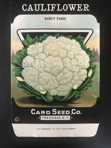 20er Jahre Litho Antik Vintage Karte Samen Co. Samenpakete Packungen Blumenkohl früh - Bild 1 von 2