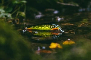 Rapala Wobbler X-Rap 10 - XR10 - Limited Edition - PSP - Poison Pike - Bild 1 von 2