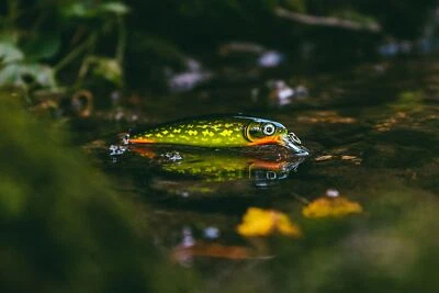 Rapala Wobbler X-Rap 10 - XR10 - Limited Edition - PSP - Poison Pike - Bild 1 von 2