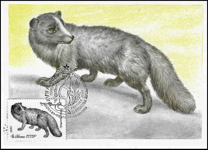 Maxi tarjeta FDC 1980 Arctic Fox Vulpes Lagopus Fur Animal Rusia como nueva Foto 1 de 1