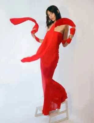 NWT Dana Foley Classic Tube Dress Red XS SOLD OUT - Image 1 of 3