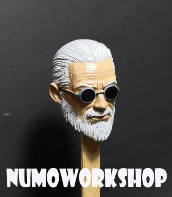 Old Hawkeye The Hero escala 1/6 CABEZA RESINA PERSONALIZADA SIN PINTAR para figura corporal de 12" Foto 1 de 4