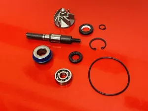 HONDA SH 125 4TLC 2005 A 2008 KIT DE REPARACIÓN BOMBA DE AGUA - Imagen 1 de 8