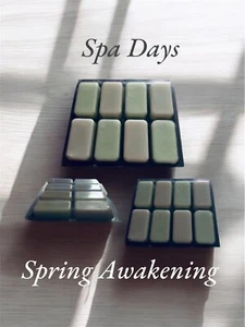 Fresh Spa Days & Spring Awakening Wachs schmilzt 8 tiefe Zellen Geschenkbox. 210g - Bild 1 von 1