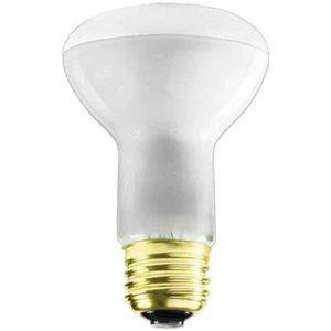 GE R20 50W Fluorescent Light Bulb (2 Pack) - Picture 1 of 1