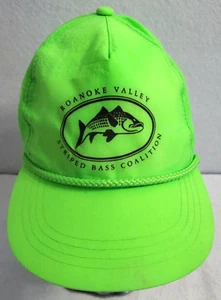 Vtg Yupoong Snap Back Hat Men OSFM Green Roanoke Valley Striped Bass Coalition - Picture 1 of 9