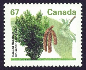 Canada sc#1368 Fruit Tree : Beaked Hazelnut, Mint-NH - Picture 1 of 2