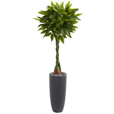 Nearly Natural 6� Money Artificial Tree in Gray Cylinder Planter (real Touch)