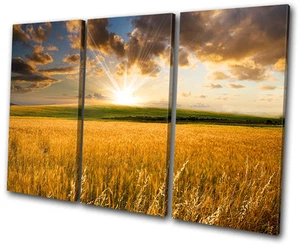 Landschaften Feld Sonnenaufgang HÖHEN LEINWAND WANDBILD Bild Druck VA - Bild 1 von 1