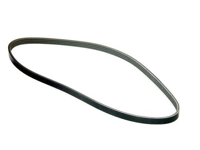 Cinturón multi costilla para Toyota Camry 1995-2006 1999 1996 1997 1998 2000 2001 NB841SN Foto 1 de 1