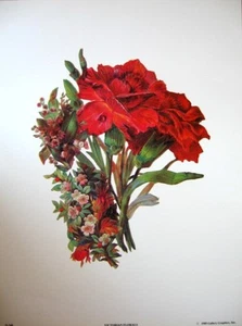 art print~VICTORIAN FLORALS 10~ Red Carnations bouquet vtg repro 9x12 - Picture 1 of 1