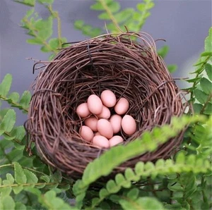 Rama Pájaro Huevos Pájaro Nido Pájaro Hogar Imitación Hogar Naturaleza Artesanía Decoración de Navidad - Imagen 1 de 11