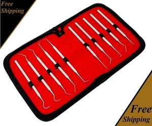 Dental Set Kit 10 pcs Scaler Pick Tools Deep Cleaning Professional Oral Hygiene  - Picture 1 of 3