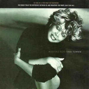 Tina Turner - Missing You CD (1996) Audio Quality Guaranteed Amazing Value - Picture 1 of 8