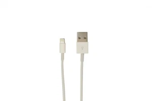Câble de charge iPhone VisionTek USB-A 0,25 mètre - 900779 - Photo 1 sur 3