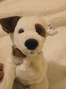 Rare HTF PBS TV Show WISHBONE Floppy Plush Dog 15" Stuffed Animal 1998 Vintage - Picture 1 of 17
