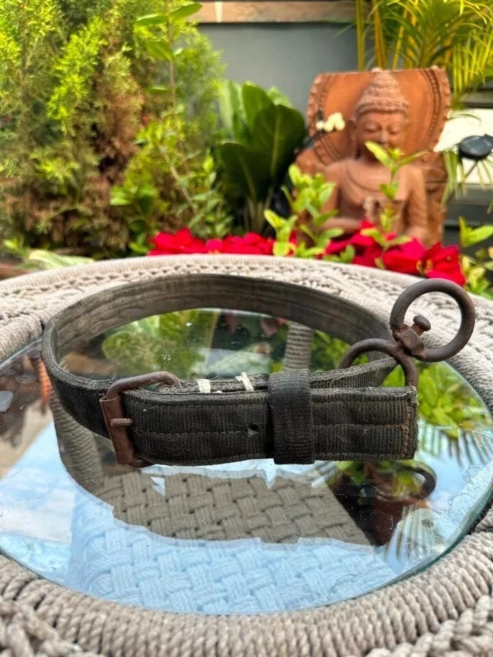 Antique Old Fabric Iron Buckle Belt Strap Adjustable Collar For Heavy Dogs/Puppy - Imagem 1 de 4