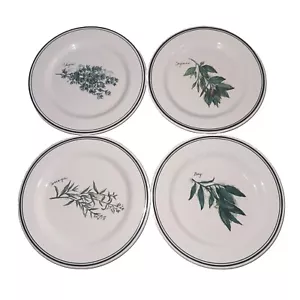 Williams Sonoma Culinary Herbs 8" Salad Plates Made in Portugal Lot Of 4 EUC - Picture 1 of 6
