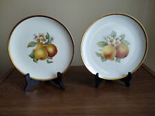  2 Fruit Dessert Plates with Gold Rims-Selb Bavaria Germany VNT Hutschenreuther 