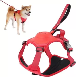 Dog harness and retractable leash set All-in-One heavy duty🐶 Color Red Size XL - Picture 1 of 6