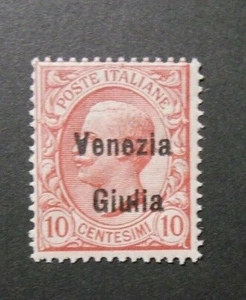  ITALIA,ITALY 1918-19 VENEZIA GIULIA "Franc. d'Italia SVR"  10c rosa MNH** ss.22 - Imagen 1 de 1