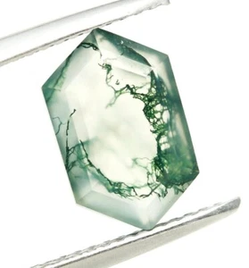 Natürlicher Moosachat Sechseck Form 11 x 7 mm Energie Edelstein Hochzeit Geschenk 2,30 ct. - Bild 1 von 3
