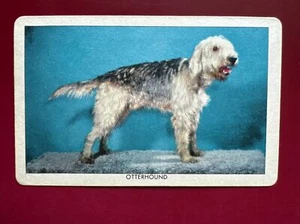 Tarjeta de perro Peter Paul Walnettos Choclettos and Coconettos Otterhound 1950 - Imagen 1 de 2