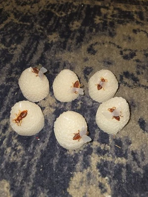 Vtg White Honey Comb/ Bee Hive Wax Candle-W/ Plastic Honeybees Bumblebees 2”  - Image 1 of 4