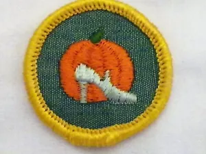 Girl Scout Cadet Good Grooming Badge 1963-1979 - Picture 1 of 1