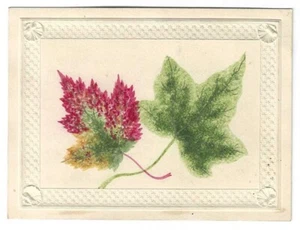  1870's Autumn Fallen Leaves Pressed Water Color - Ornate Embossed Album Card - Picture 1 of 2