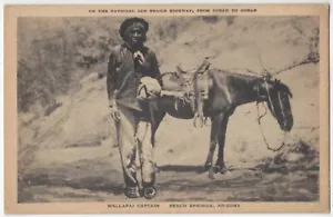1915 Wallapai Indianer Indianer & Pferd - Peach Springs, Arizona Postkarte - Bild 1 von 2