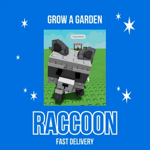 Raccoon 1 - Picture 1 of 1